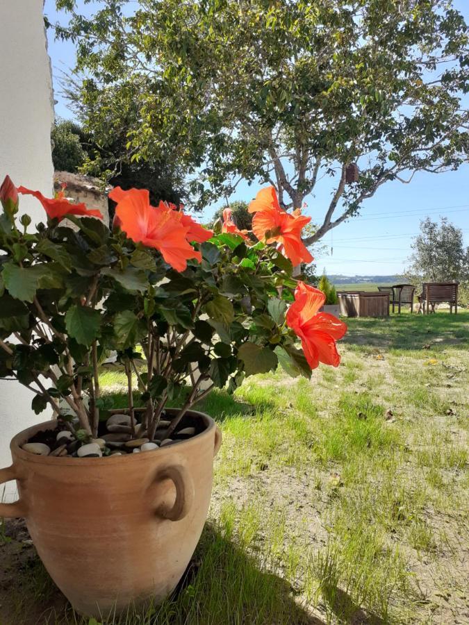 شقة ***** Quinta Do Por Do Sol ***** فيغيورا دا فوز المظهر الخارجي الصورة